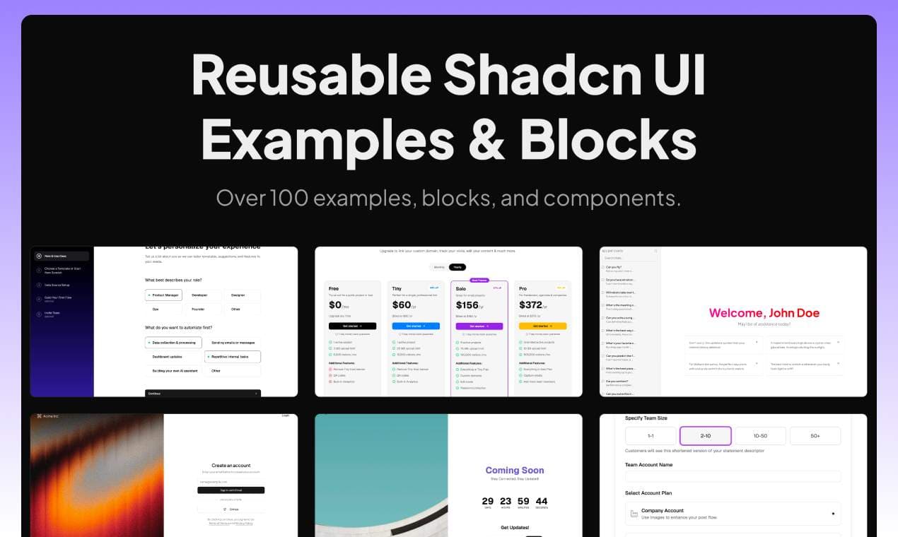 Shadcn Examples