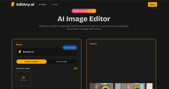 EditAny AI Image of EditAny AI