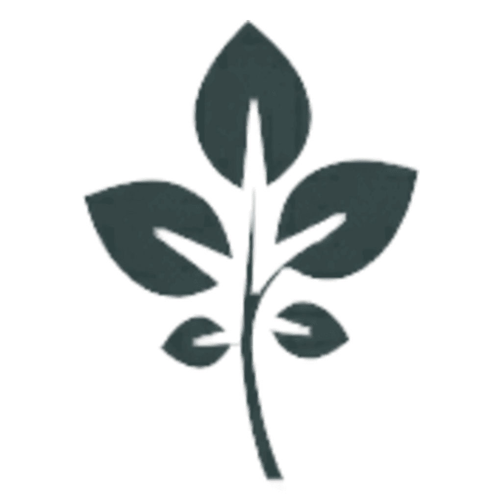 GrapeVine Social