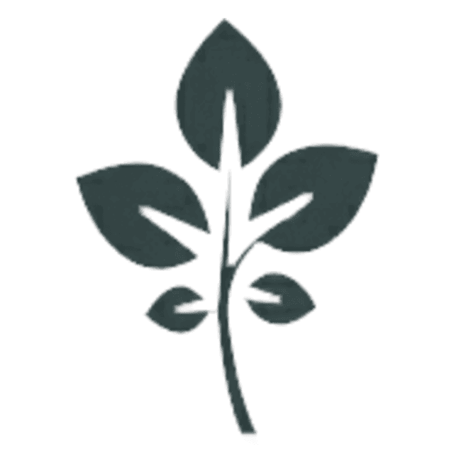 GrapeVine Social Image of GrapeVine Social