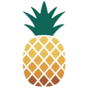 Pineapple Kamil Daniel