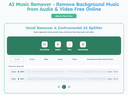 Background Music Remover Online Free
