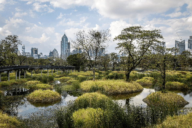 Benjakitti Park Image of Benjakitti Park