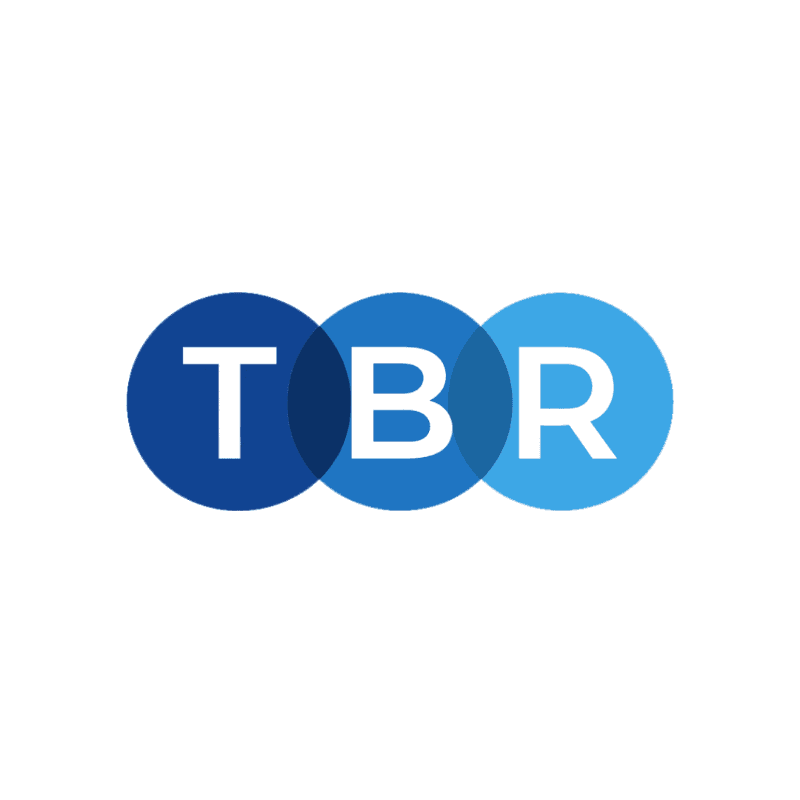 AIOverview By TBR