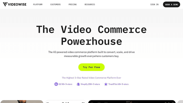 Videowise Image of Videowise