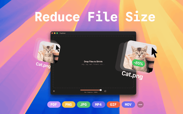 TinyFast Image of TinyFast