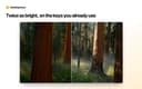 MacBrightness