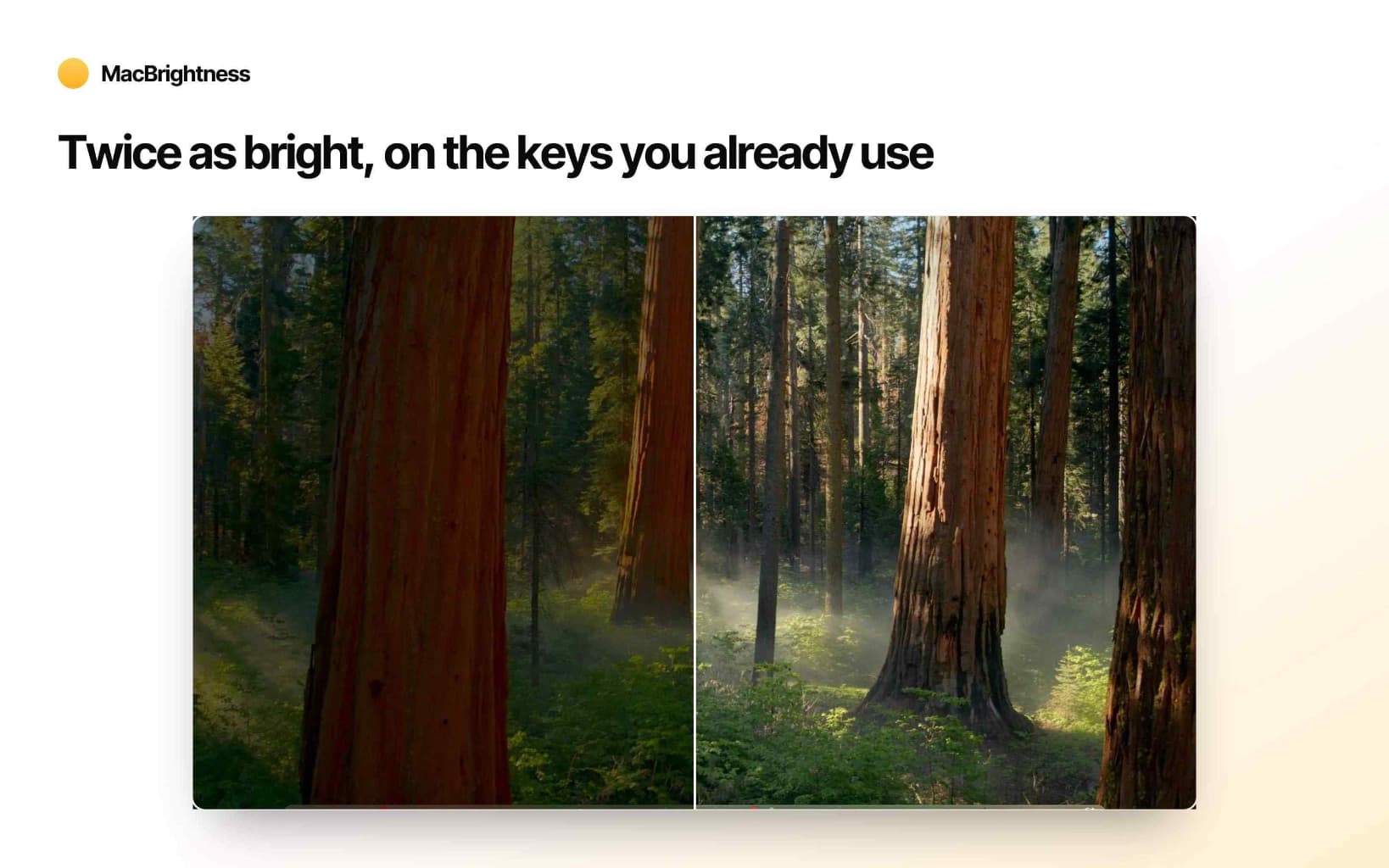 MacBrightness