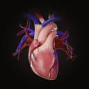 Complete HeartX
