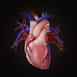 Complete HeartX Image of Complete HeartX